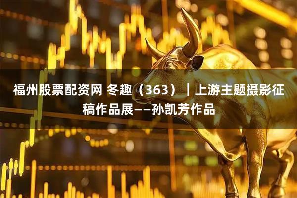 福州股票配资网 冬趣（363）｜上游主题摄影征稿作品展——孙凯芳作品