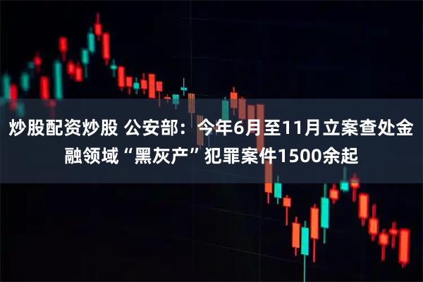 炒股配资炒股 公安部：今年6月至11月立案查处金融领域“黑灰产”犯罪案件1500余起